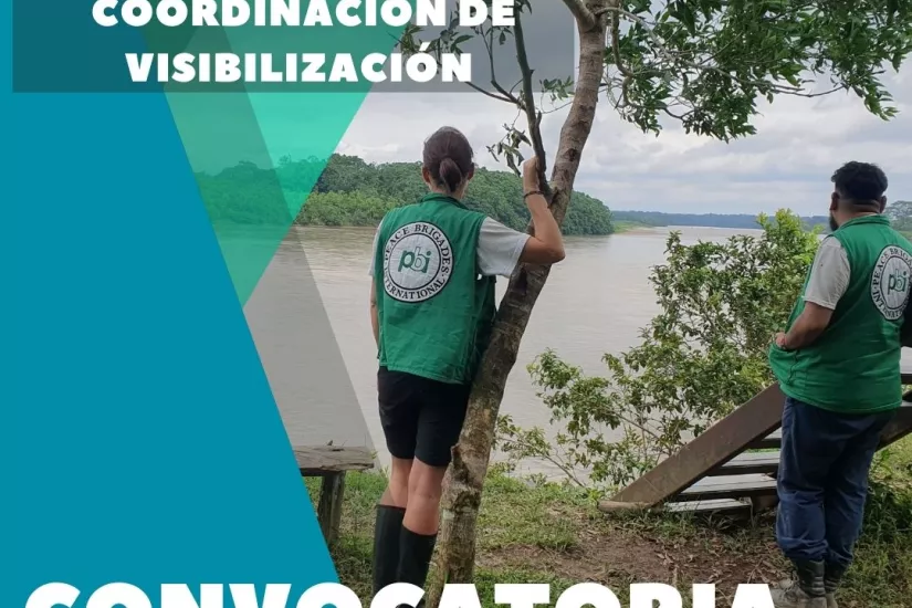 Convocatoria Coordinación de Visibilización